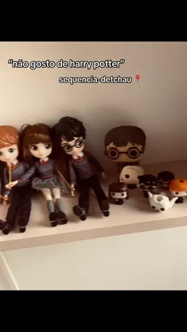 AMEI ESSA TREND KKKK #fy #foryou #harrypotter #foryoupagе #potterhead 