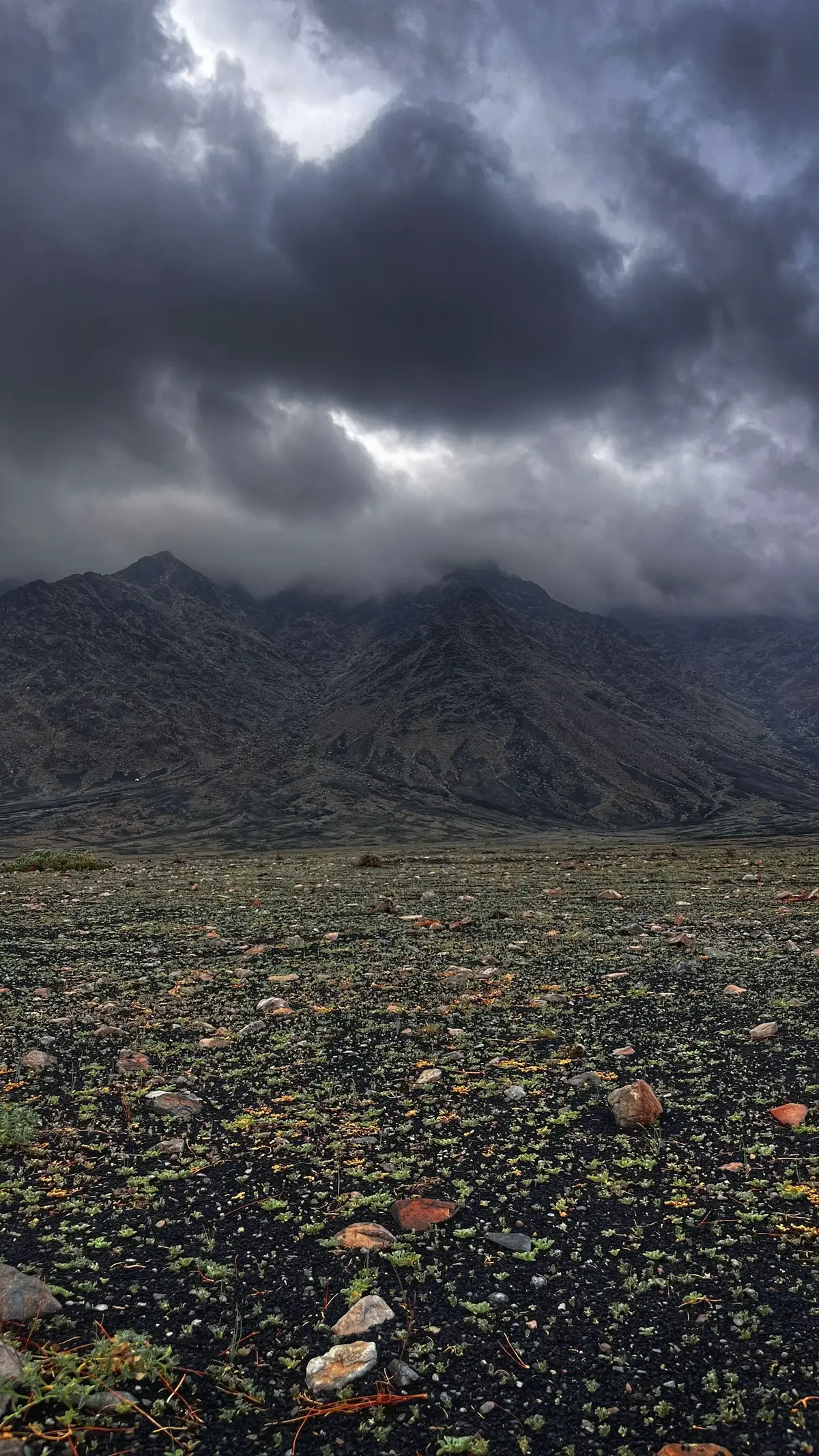 #الحمدالله_علی_کل_حال❤ #استغفرالله_العظيم_واتوب_اليه #اللهم_صل_وسلم_على_نبينا_محمد #سبحان_الله_وبحمده_سبحان_الله_العظيم 