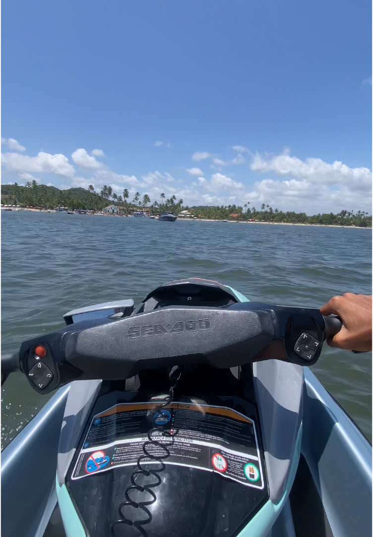 🐏 🌴☀️🌊 #carneiros #pernambuco #nordeste #jetski #fypシ゚ #explore #viral #praia 