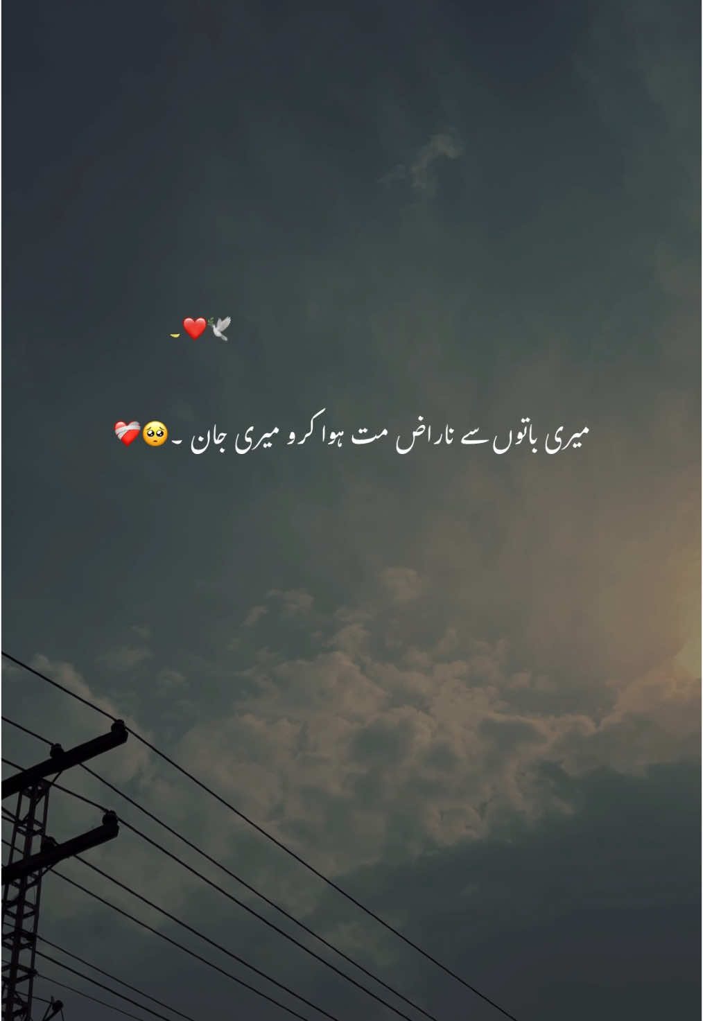 MERI JAAN 👀💋🫶🏻🔐🦋🌷.  #hehe_afridy #foryouofficialpage #unfreezemyacount 