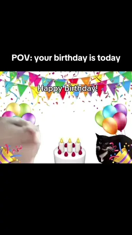 Happy birthday on your birthday with a birthday cause it’s your birthday on your birthday. #birthday #foryoupage #fyp #chat #meme #funnyvideo #something #january #januarybaby #cat #birthdaycat #catsoftiktok 