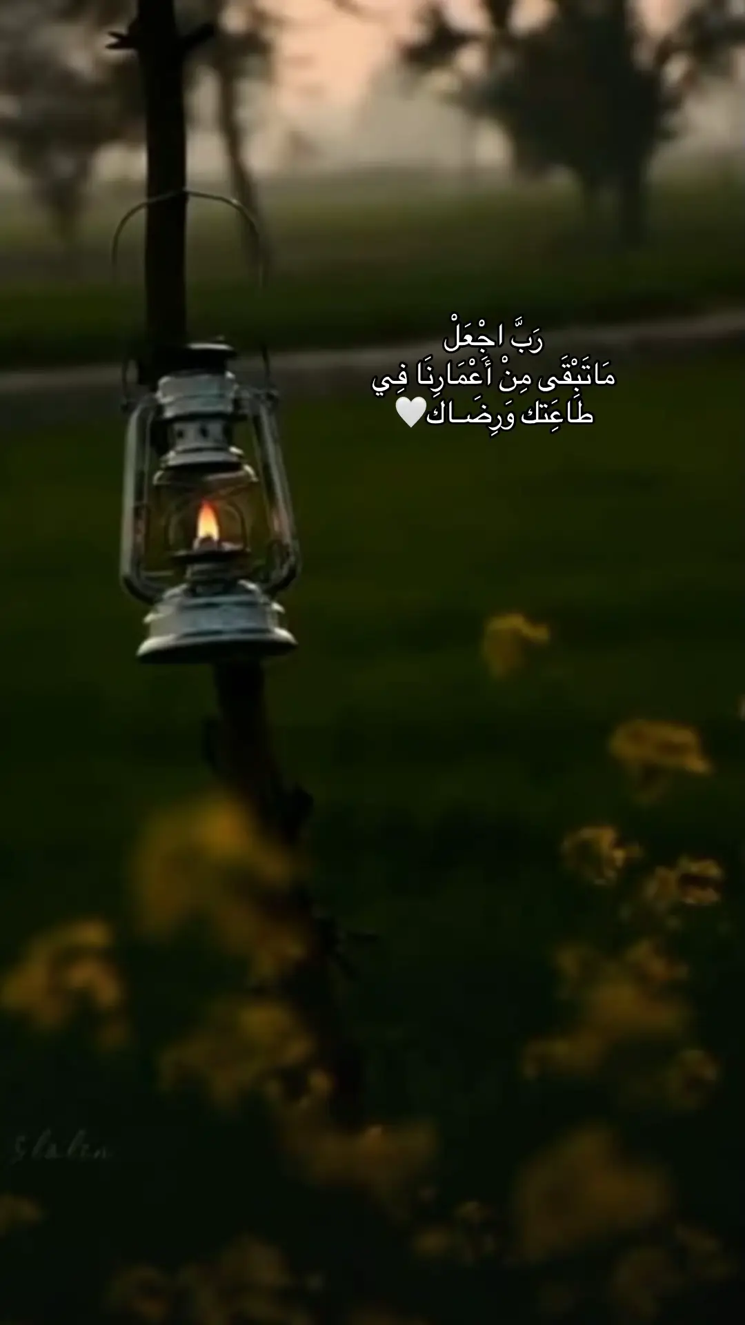 #ريان_المحيسني #