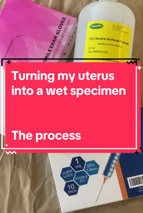 Well the uterus is in the solution and setting up. I’m so happy to be able to show it off in my home. It’s my new favorite toy. #wetspecimen #uterus #hysterectomy ##hysterectomyrecovery##endo##trans##gender##nonbinary##2spirit##ftm##transmasc##oddity##humanorgan##diywetspecimen##odditytok##punk##crustpunk##DIY##fyp##theythem##hehim