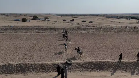 شوط مواليد المصري (بطل السرعة) . . . . #خيل_عربي_اصيل #خيل_وخياله #حصان #كبد #الوفرة #سباقات_الوفره #سباقات_كبد #فروسية #المشيهبي #ريس #خيل_عربي_اصيل🐎🐎 #خيول_عربية_اصيلة #خيول #الكويت 