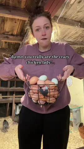 just collected DOZENS of eggs on snap 🥲😅 👻: itsambaslife #crazychickenlady 