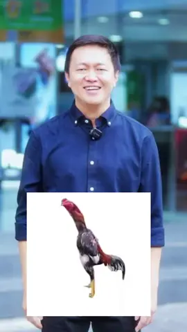 #kingkevin #kingkevinnnn #kingkevinberbagi #kingkevindrama #kingkevinofficial #masukberanda #lewatberandafypシ #foryou #virall #trending #challenges_tiktok #challenges_tiktok #fyppppppppppppppppppppppp #capcut 