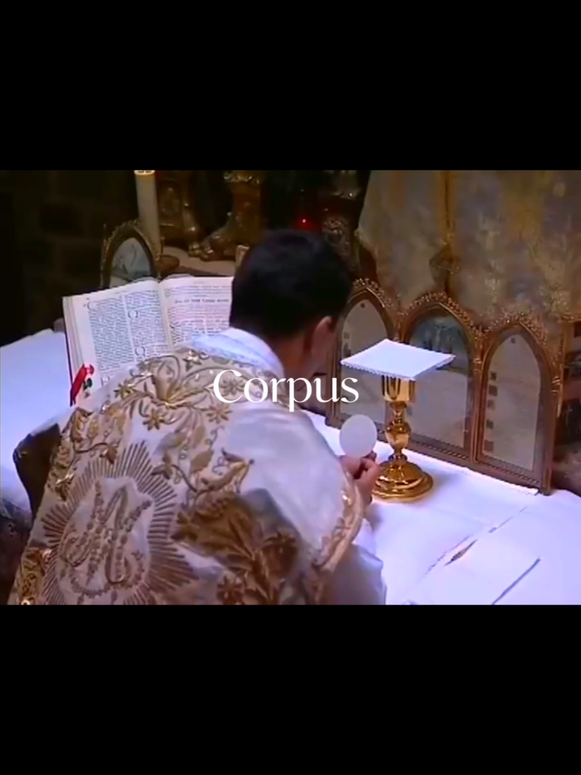 The Holy Sacrifice of the Mass 🇻🇦♱ —————————— #catholicism #catholic #church #jesus #christiantok #catholictiktok #orthodox #jesuslovesyou #holymass #traditional #latinmass #fyp #foryou #edit #viral 