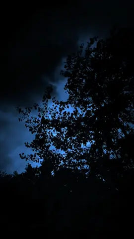 Dark vibes 🥀🎧 In The End #aesthetic #nature #forest #black #dark #vibes #relax #edit #real #song #intheend #fyp #foryou #foryoupage #paratiiiiiiiiiiiiiiiiiiiiiiiiiiiiiii 