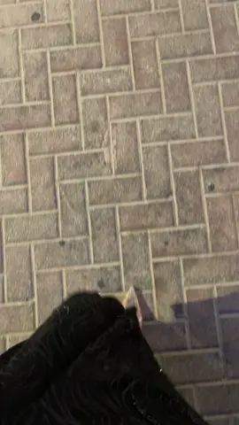 #⭐️⭐️ #explore #fyyyyyyyyyyyyyyyyyyyyyyyyyyyyyyyyyy #مالي_خلق_احط_هاشتاقات 