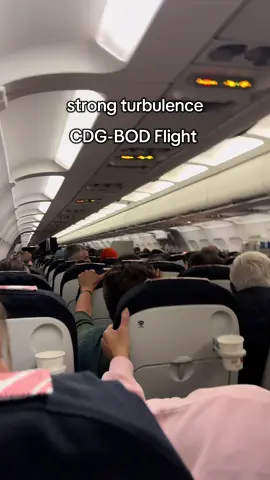 Please, dont worry about it 🫨#fyp #aviation #plane #airlinepilot #turbulence 