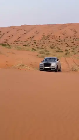 #قصيباء  #تطعيس  #نفود #روزرايس 