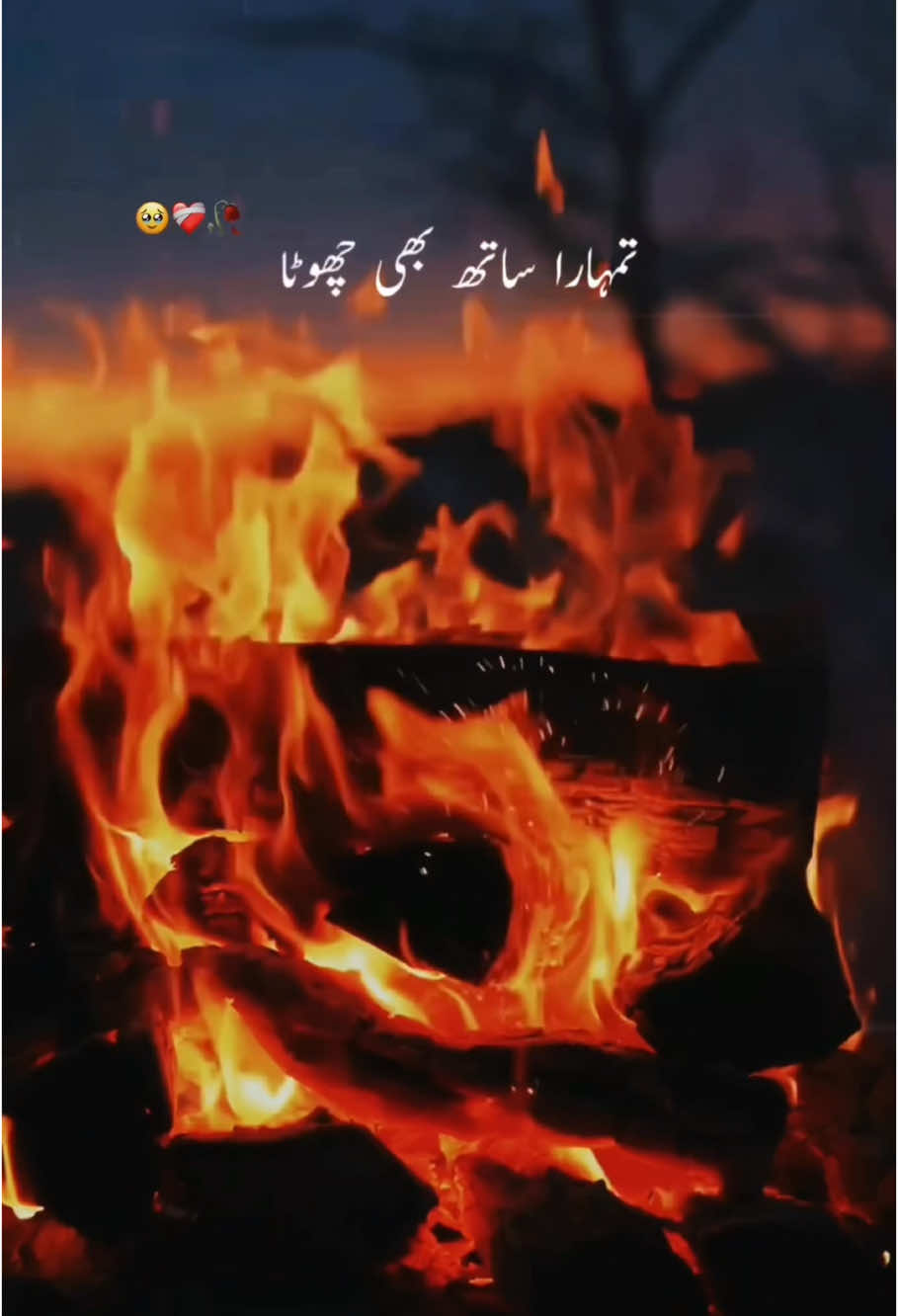 تمہارا ساتھ بھی چھوٹا تم اجنبی بھی ہوئے 😔💔🥀 #foryoupagе #poetry #deeplines #shayri #lines #status #BookTok #fypシ゚ #viralvideo #growmyaccount 