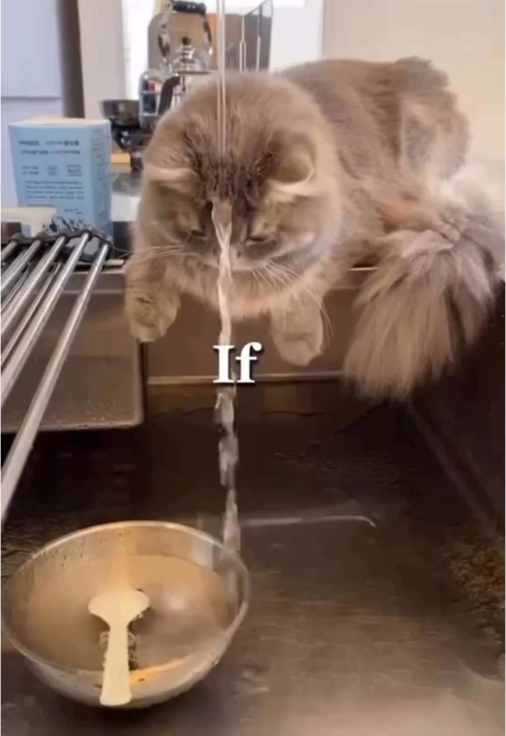 when life gives you lemons you finger your self 😭#fyppppppppppppppppppppppp #viral #viralvideo #comedy #fypシ #meme ##funnyvideo #legend #life #darkhumor #funny 