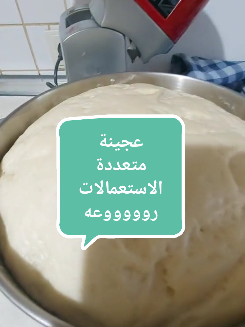 عجينة متعددة الاستعمالات #wesamsdiary #fyp #عجينة #عجينة_البيتزا #معجنات #مناقيش #فطاير_لحمة #فطاير_سبانخ #فطاير_كشك #فطاير #مناقيش 