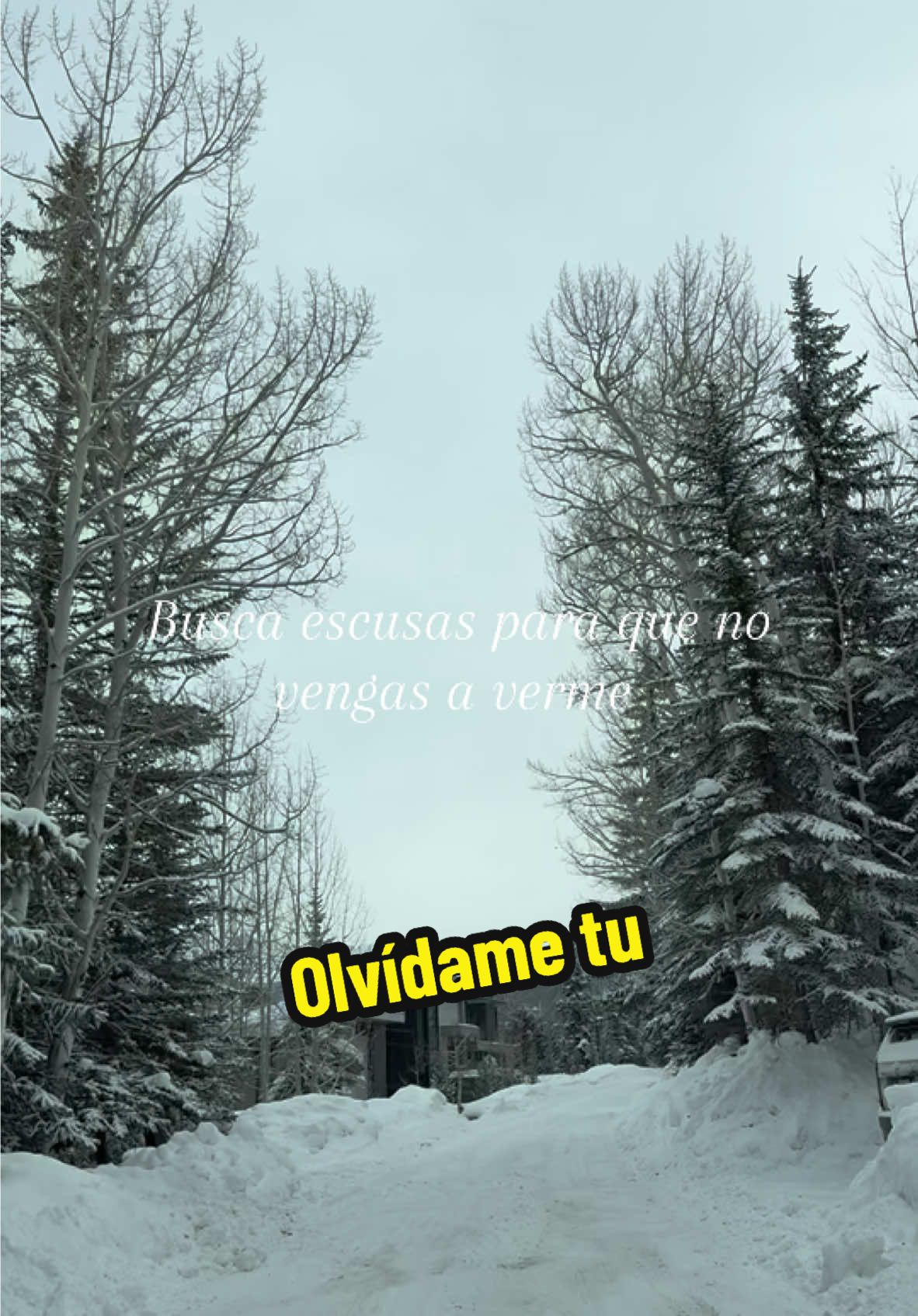 Día nublado en vail #denvercolorado #montañasnevadas #Reynaozuna #paisajesmagicos #nieve #ClimaEnDenver 