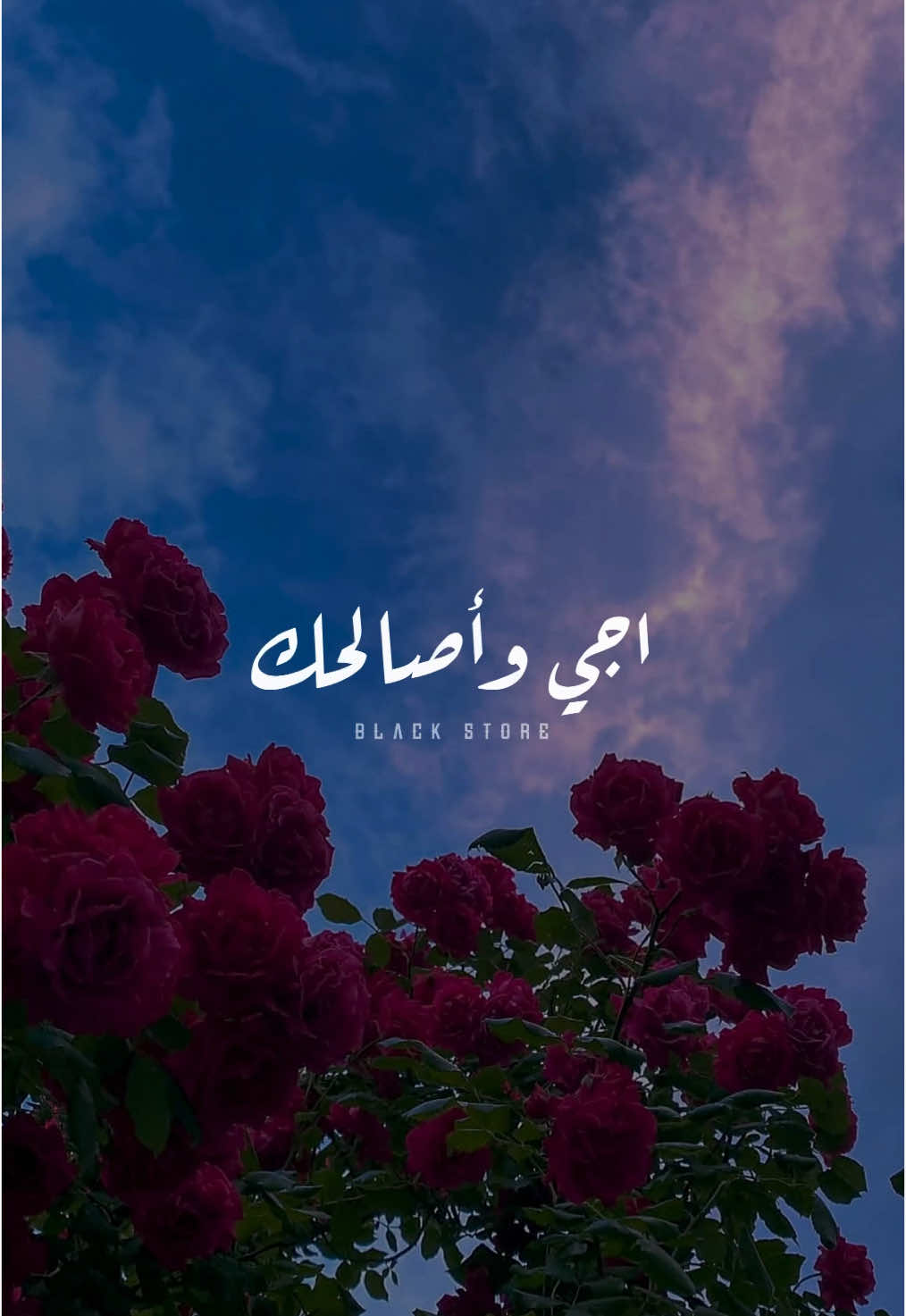 وانا زعلي بكلمتين بيفك ❤️ @DianaNasri  @Mohamed El Ghonimy  #fyp #تصميمي #ستوريات #حالات_واتس #foryoupagе #viral 