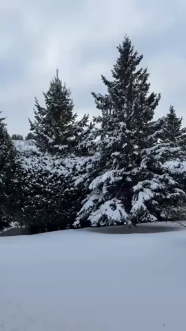 #كندا🇨🇦#sudbury#ontario#snow#white#تلج#canada#برد_الشتاء#تجمدنا😭😭😭😭 