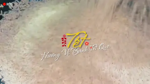 Nhà Bạn Có Nấu Bánh Tét Hok Nà 🤭🎉🎉#tet2025 #CapCut #tet2025 #tet #banhtet #goibanhtet #chucmungnammoi #tetatty #2025 #happynewyear #demnguocnammoi #nhactet #xuhuongtet2025🐉 #xuhuong2026 #nhactet2025 #xuhuongtet2025 #xuhuong2024 #chunghoatet 