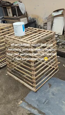 #peternakmuda  #cookFhaitter #indonesia🇮🇩  #ayambangkokcalsik  #ayambangkokselatan  #pkahoybrutal  #yokereeblodline  #pureganoi🇻🇳  #mangon  #Bangkopama 