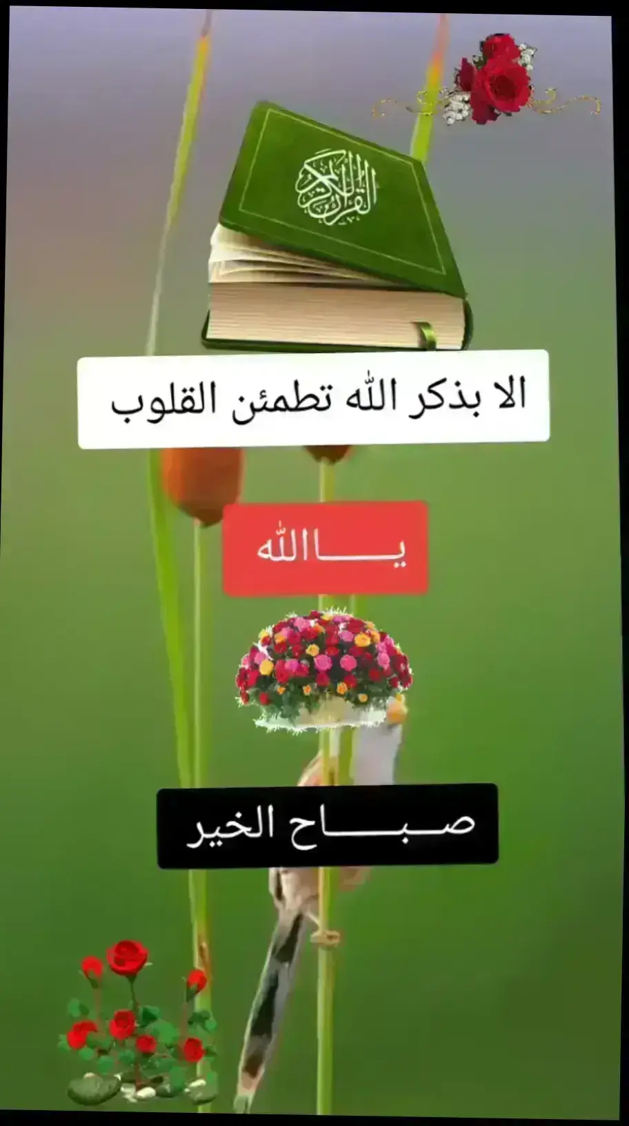 #صبحكم_الله_بالخير_والعافيه🌸🌿 