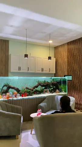 tank discus😍😍😍 #discus #aquarium #aquascape #aquascapeindonesia #hiasanrumah #decoration 