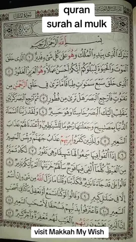 Quran  surah Al mulk  Quran recitation beautiful voice  Quran verses that hit deep  #AlQuran #fypシ゚viral🖤tiktok #islamicreminder #islamic_media #islamic #tilawat_qr1 #fyp #foryou #muslim @🎧 📖القرآن 
