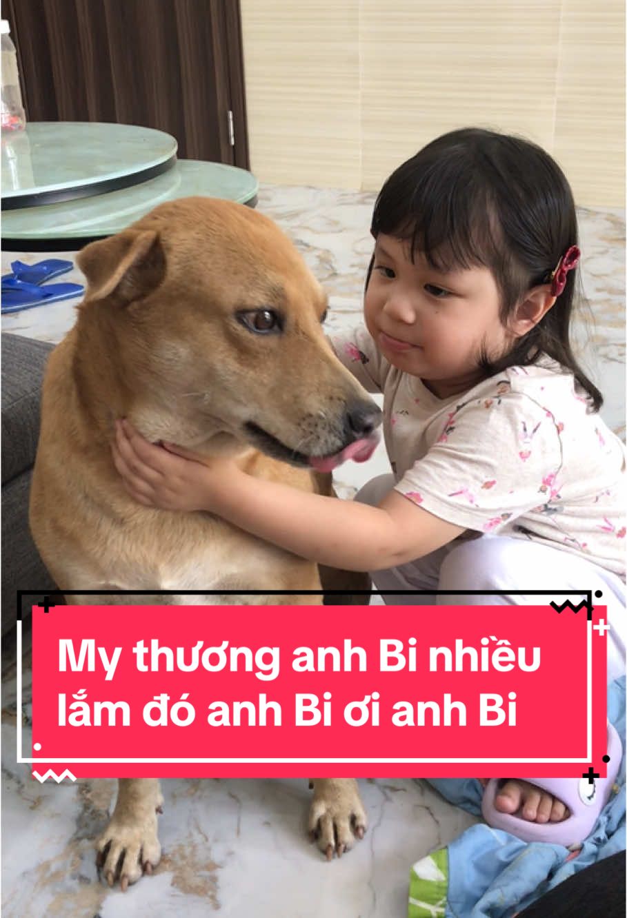 My thương anh Bi nhiều lắm đó #chuyennhadeng 
