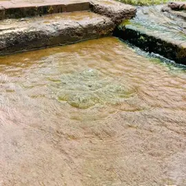 Walk with lahiru,  Did you know? These fountains are 1,500 years old And they still work!!! ✨ Witness the magic of ancient engineering come to life! The water fountains of Sigiriya’s Lion Rock Water Garden are flowing once again, just as they did over 1,500 years ago! 💧🌿 A masterpiece of history, nature, and innovation. Don’t miss this rare moment!  #beamazed #walkwithme #Sigiriya #AncientMarvel #SriLankaHeritage #sunsrilanka 
