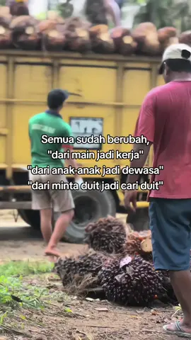 #sawitontiktok #sawitriau #fypp #storysawit🌴🌴 #pemuatsawitriau #trucksawitriau🌴 