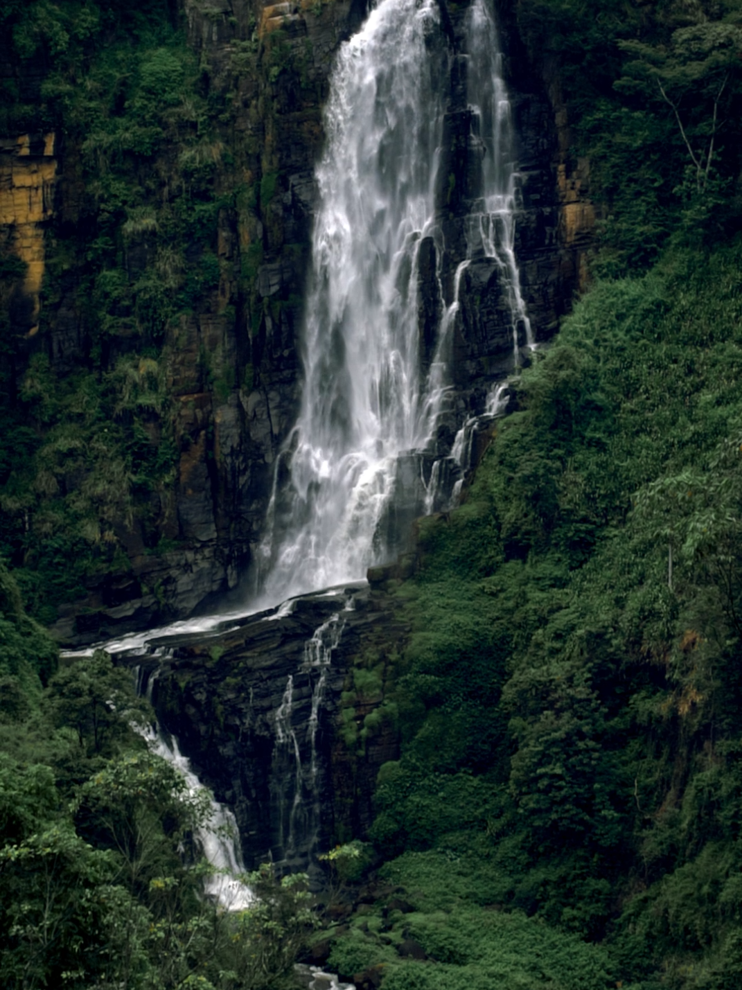 💚 #nature #waterfall #natureathome #place #naturebeauty #srilanka #foryou 