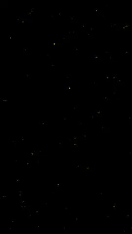 أتفق 🩵🌷#العراق #النجف #رياكشن #قصائد_حسينيه #بلاك313 #علم_العراق 