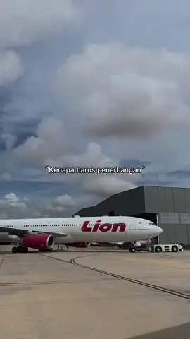 #CapCut #aviation #lionairgrup #flightattendant #avsec ##pilot #bat 