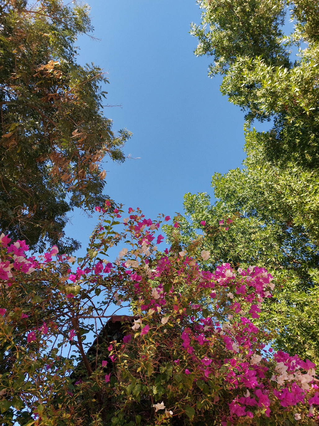 🥹🩷  #سفرة #نوارة_الاملاك_السياحية #اكسبلور #جامعة #explore #fyp @R 