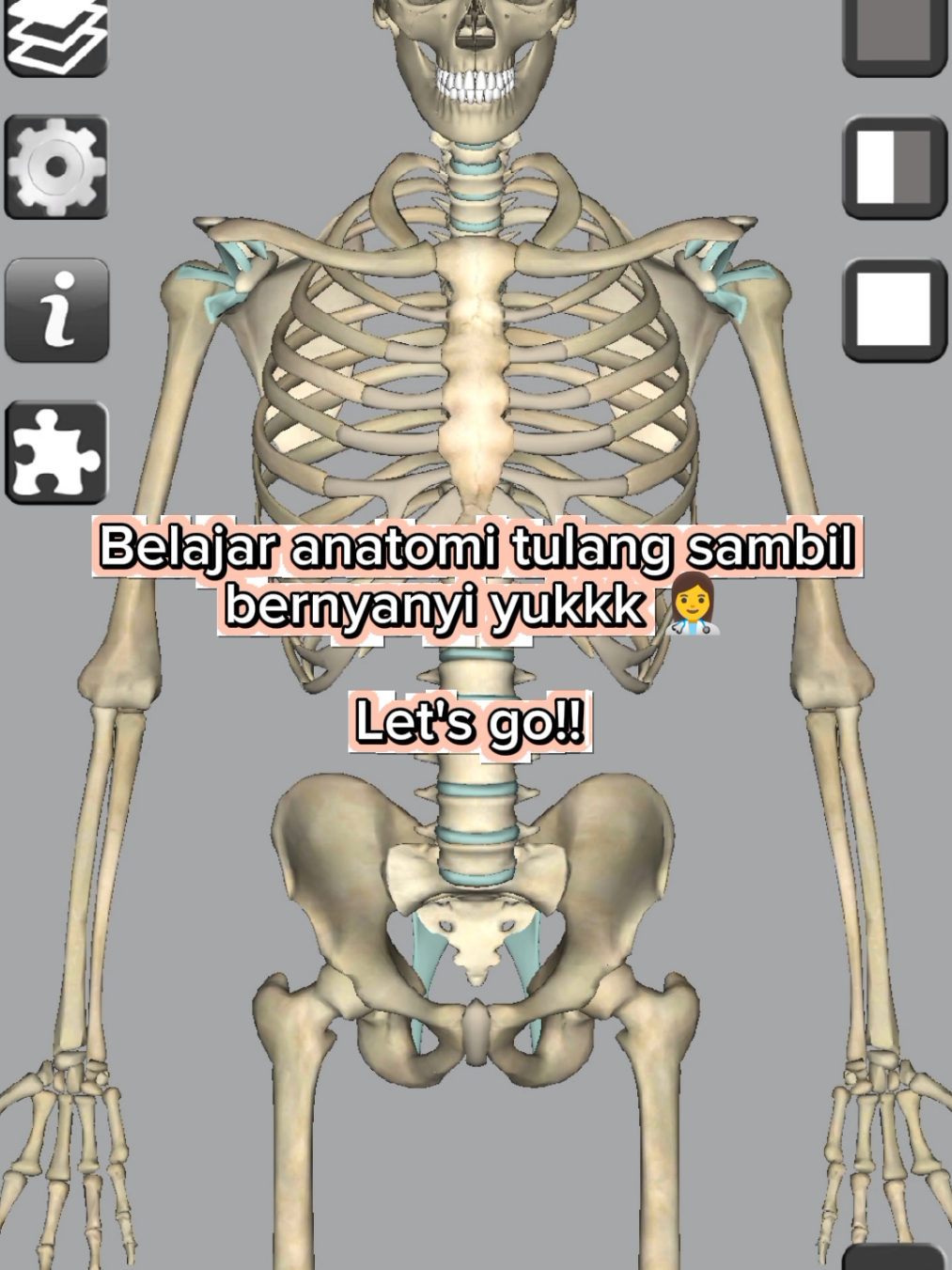🌷Nama-nama Tulang Besar : - Os Frontal (tulang dahi)  - Os Parietal (tulang ubun-ubun) - Os Temporal (tulang pelipis)  - Os Oksipital (tulang kepala belakang)  - Os Servikal (tulang leher belakang)  - Os Torakal (tulang punggung belakang)  - Os Lumbal (tulang punggung bawah)  - Os Sakral/Sakrum (tulang duduk)  - Os Humerus (tulang lengan atas)  - Os Radius (tulang pengumpil)  - Os ulna (tulang hasta)  - Os Costae (tulang rusuk)  - Os Sternum (tulang tengah dada)  - Os Coccygeus (tulang ekor)  - Os Clavicula (tulang selangka)  - Os Scapula (tulang belikat)  - Os Processus xiphoideus (tulang taju pedang)  - Os Femur (tulang paha)  - Os Patella (tulang tempurung lutut)  - Os Tibia (tulang kering)  - Os Fibula (tulang betis)  - Os Metakarpal (tulang jari tangan)  - Os Metatarsal (tulang jari kaki)  Komen mau belajar apa lagi gaiss❤ #keperawatan #mahasiswa #anatomy #fypage 