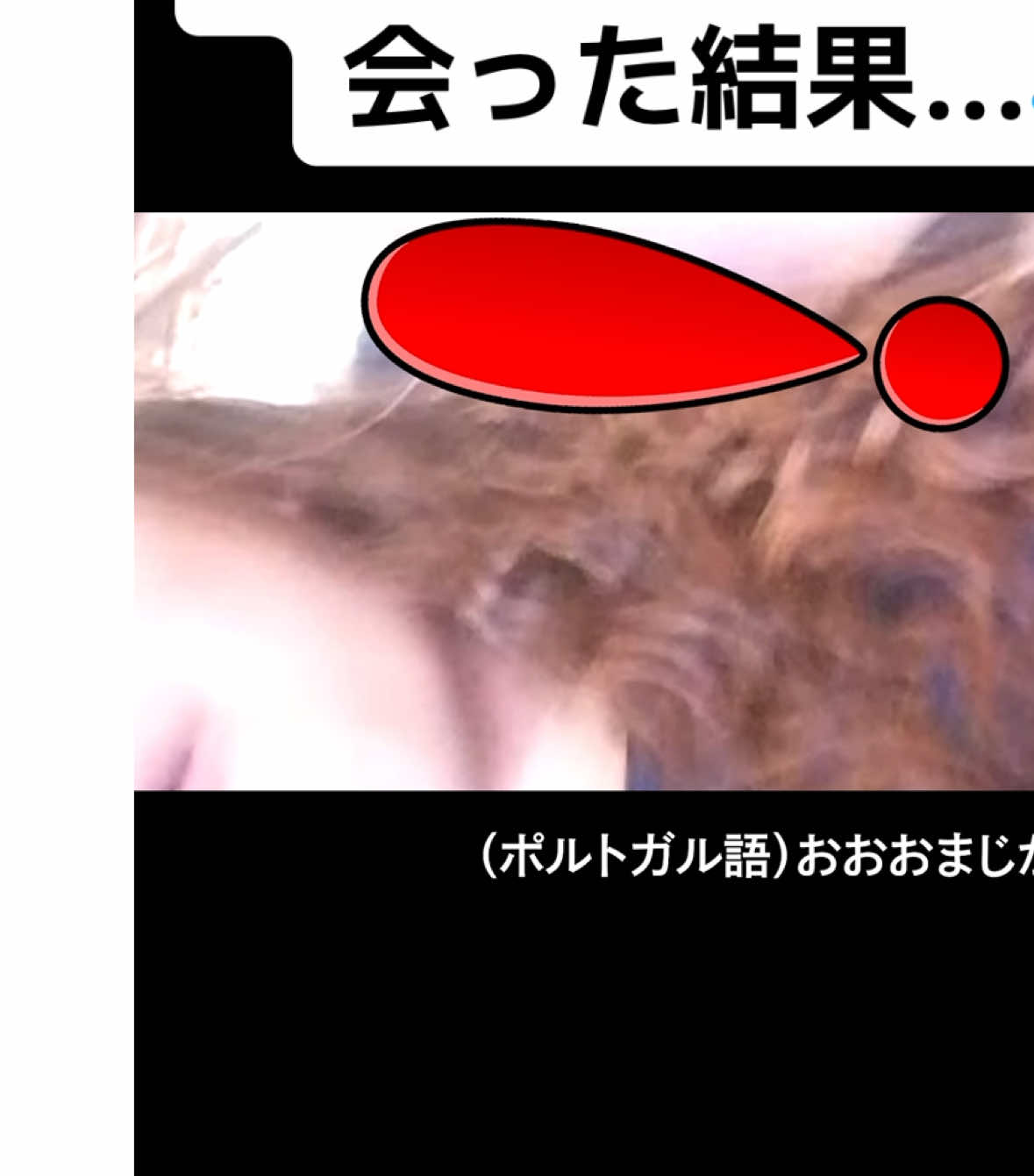 日本人がブラジル人に会った結果…😂✨ #kazulanguages #foryou #言語ドッキリ 