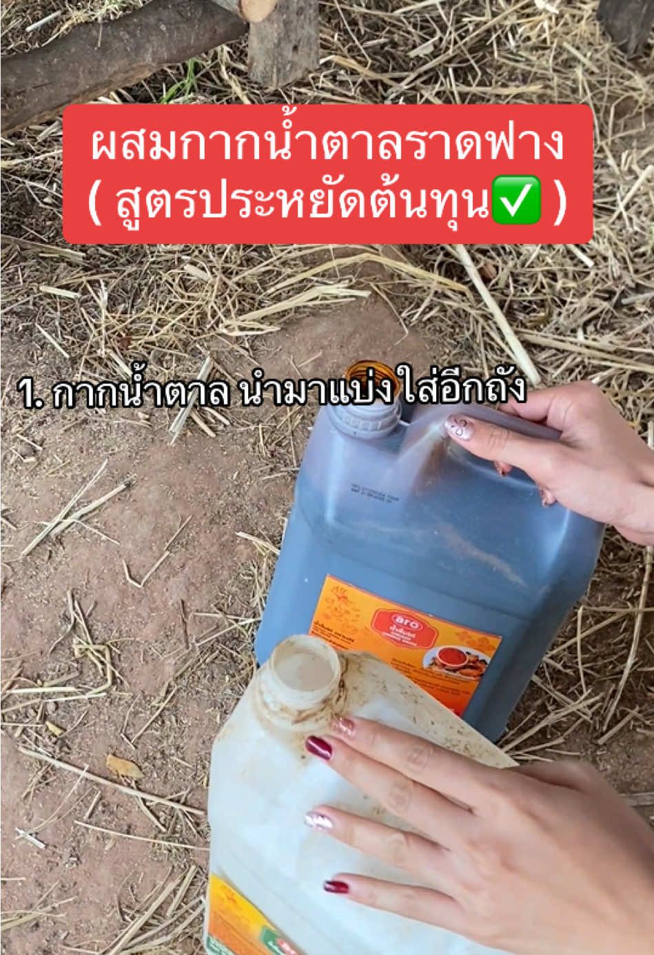 ทำตามดูนะครับ🙏🏻 #นิติฟาร์ม #วัวบราห์มันเลือดผสม #ฟีด #มหาสารคาม 