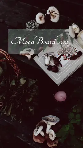 Mood Board 2025 #moodboard #2025 #visions #fyp #fy #visionboard #mood 
