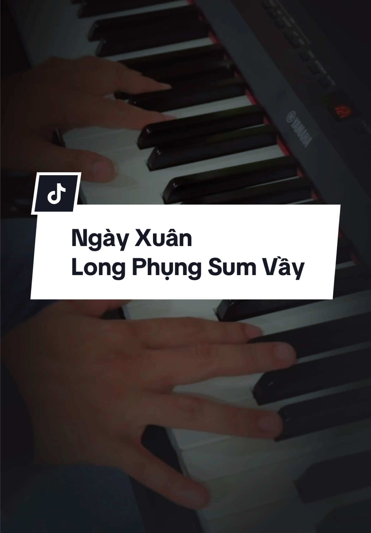 Ngày Xuân Long Phụng Sum Vầy #ngayxuanlongphungsumvay #fyp #trinhatpiano #LIVETet #piano #trending #viral #xuhuongtiktok #chill 