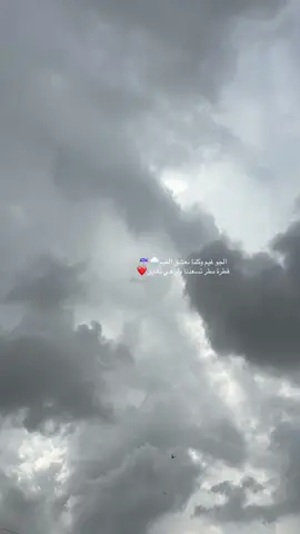 ماشاء الله بارررريس مووو القنفذه😱..