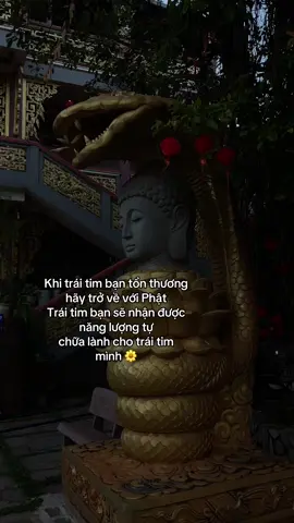 @Trịnh Duy #phatphapnhiemmau  