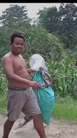 #CapCut #wesrenekpopokikukut#petaniindonesia🇮🇩🇮🇩🇮🇩🌿🌿 #combineharvester #yf #sekti 