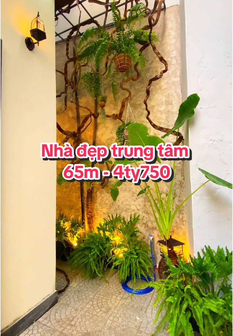 Vẫn còn nhà tương tự trung tâm nha khách yêu #dreamhomedanang #nhadepdanang #bdsdanang #nhadatdanang #bannhadanang #reviewnhadepdanang #nhahiendaidep #maunhadep #nhasanvuondep 
