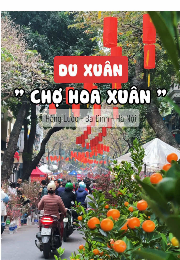 Du Xuân - Chợ hoa Xuân tại Hàng Lược, Ba Đình 🥰  #dienvienhaianh #cvmedia #trending #duxuan #tetholiday 