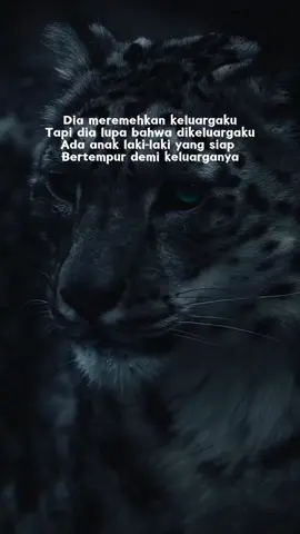 #kata 