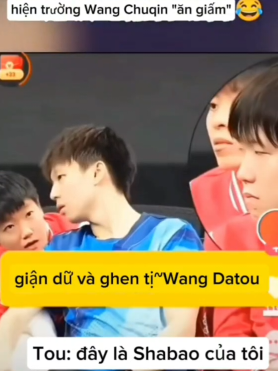 Shasha : anh sao vậy? anh ghen hả? Datou :không,anh bình thường  😂😂😂 #🦈🦁❤️ #5114 #shatou #wangchuqin #sunyingsha #tabletennis #ulun96 