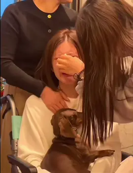 ดีใจที่ตอนนี้หายดีแล้วนะเก่งที่สุด #จ้าวลู่ซือ #zhaolusi #赵露思 #rosy #fypシ゚ 