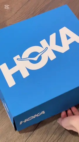 #hoka #hokaspeedgoat6midgtx #training #Running #dog #minipinscher #comingsoon 