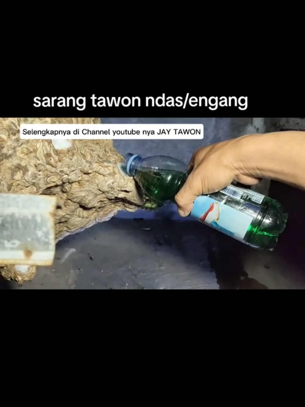 sekali siram langsung tepar.. https://youtu.be/jjZUOa1jQzY #viral #tiwuan #wasp #engang #tawonndas 
