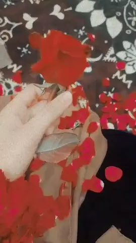 Thankyou so much For Coming My life ❤️🌍  #stylishtani #foryoupage 