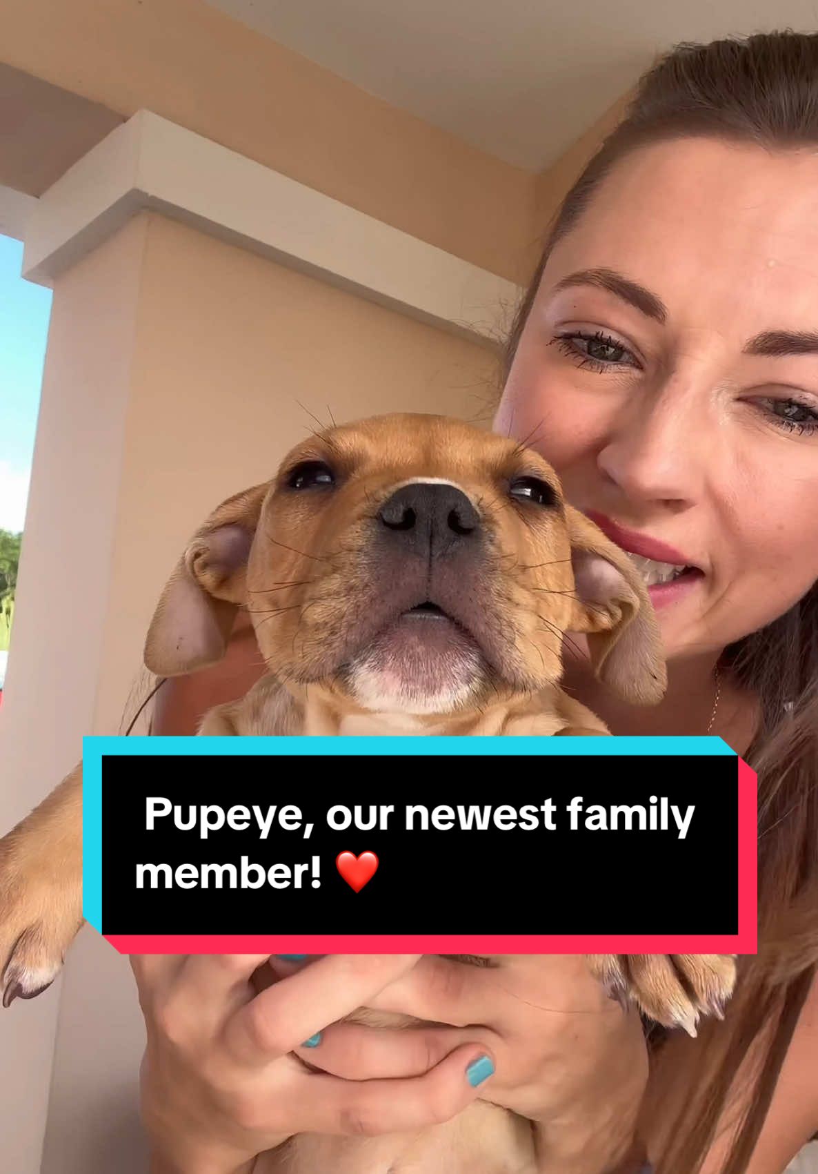 A month ago, I lost my soulmate, Macho, and today my husband had a huge surprise for me. Please meet Pupeye, our newest family member! ❤️ . #puppy #pitbull #pitbullpuppy #puppylove #suprise #dogs #puppylife #pies #doglover #dogsofinstagram